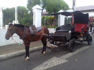 parque-central-de-juayua