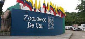 Entrada Zoológico de Cali