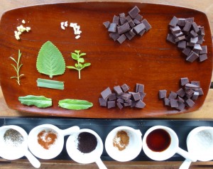 Tasting-on-Caribeans-Chocolate-Tour-Geckoes-Lodge-Cocles-Puerto-Viejo-Costa-Rica