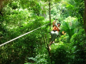 canopy