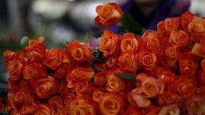 dia de enamorados
