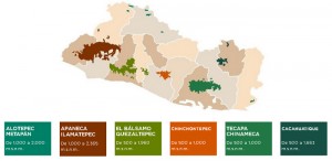 Ruta del Café