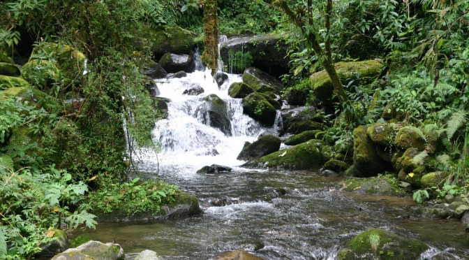 Sendero Los Quetzales