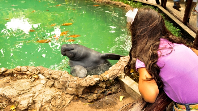 Zoológico de Barranquilla