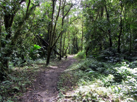 sendero los quetzales