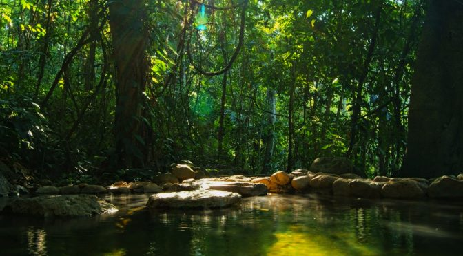 Aguas Termales Luna Jaguar