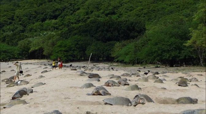 Senderismo en San Juan del Sur