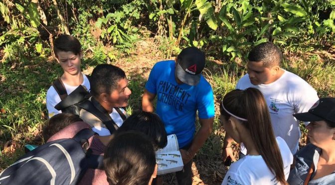 Tres festivales celebran la biodiversidad de especies en Costa Rica