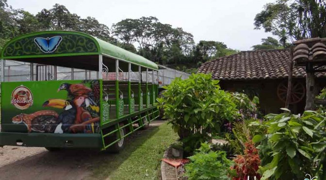 FINCA SANTA ISABEL (COPÁN COFFEE TOUR)