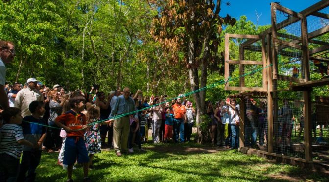 Copán Ruinas celebra la IV Liberación de Guacamayas Rojas