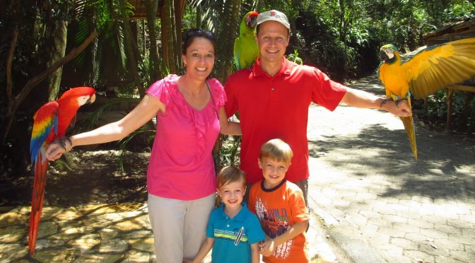 Parque de Aves Macaw Mountain