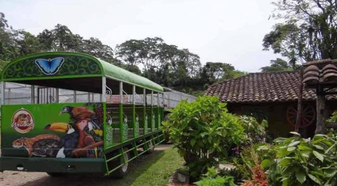 Copan Coffee Tour