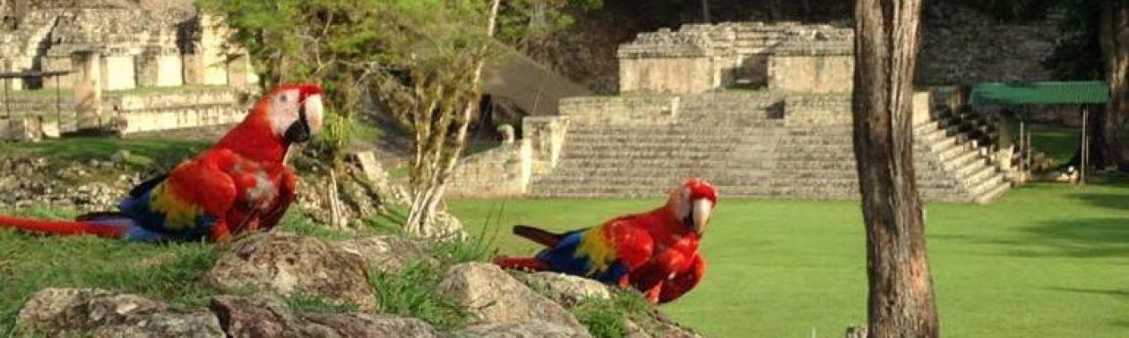 Bellezas Latinoamericanas | Copan Ruinas