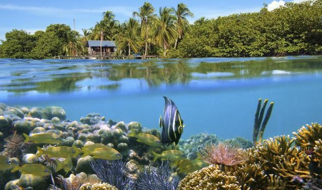 Bocas Del Toro