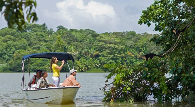 Bosque tropical lluvioso