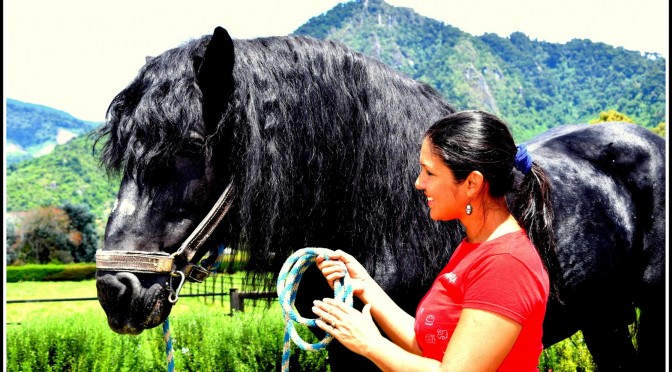 EXCURSIONES A CABALLO