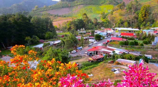 CERRO PUNTA