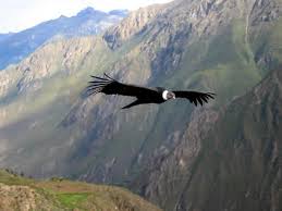 El Cañón del Colca