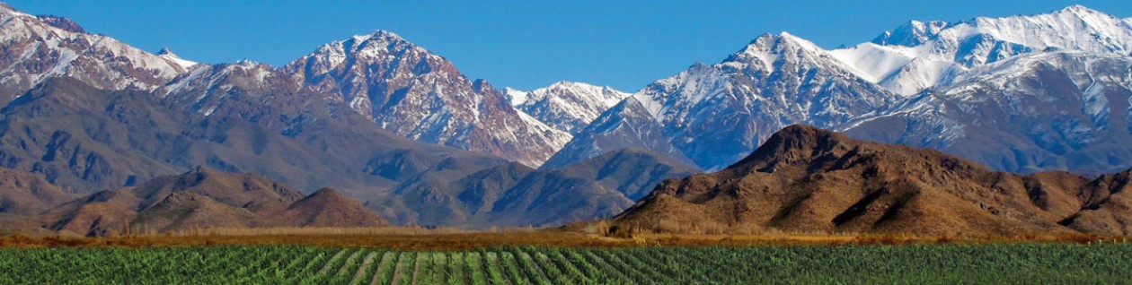 Bellezas Latinoamericanas | Mendoza