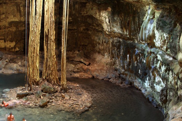 Antes de entrar en este precioso cenote, tienes que disfrutar de sus fabulosos accesos y sus pintorescos puestos de artesanía local. Luego deberás bajar por unas estrechas escaleras labradas en la piedra. Te aconsejamos parar un poco en este primer piso y contemplar desde aquí la belleza cautivadora de esta cueva inundada. A continuación podrás seguir el descenso por escaleritas de madera hasta el piso del cenote Samula. Aquí existen plataformas donde descansar, dejar las cosas y prepararse para nadar. También es el lugar idóneo para contemplar las larguísimas raíces de un árbol que se descuelgan hasta el fondo del cenote. Si desean bucear, fuera podrán alquilar los equipos.