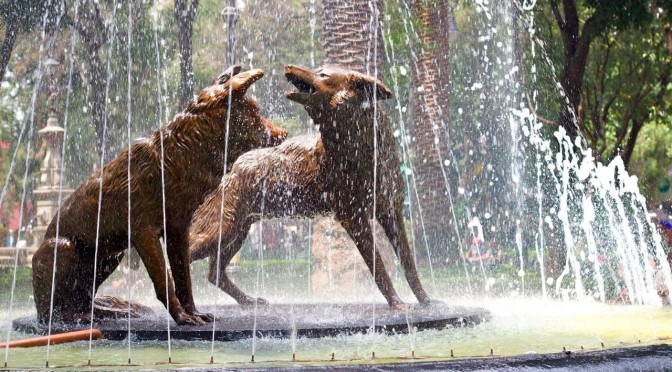 Coyoacán