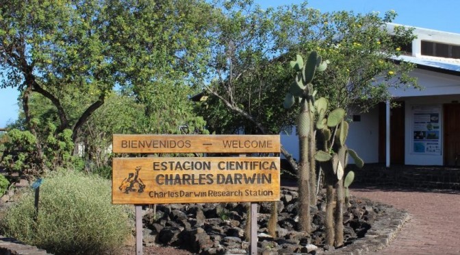 Programa en Galápagos protege a nueva especie de tortugas