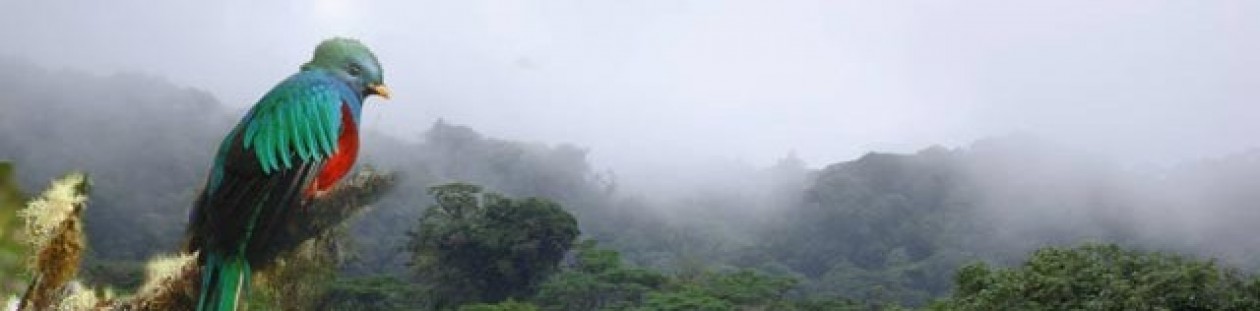 Bellezas Latinoamericanas,Monteverde, Costa Rica