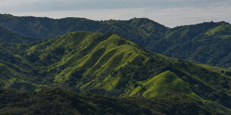 Monteverde: Maravilla Turística de Costa Rica