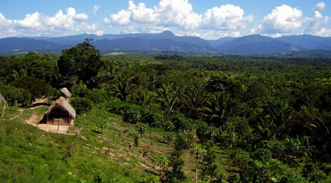 Parque Nacional y Área Natural de Manejo Integrado Amboró