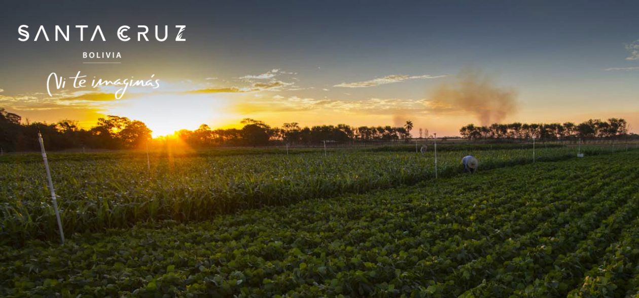 Bellezas Latinoamericanas | Santa Cruz