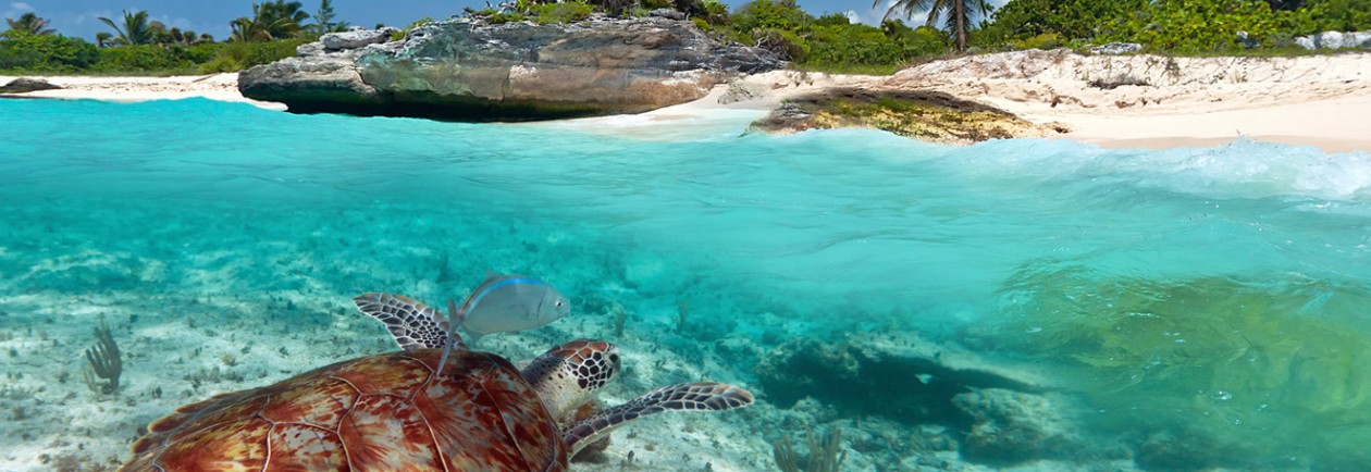 Bellezas Latinoamericanas / Roatán