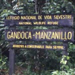 Mirador en Playa Gandoca-Manzanillo, Puerto Viejo de Talamanca