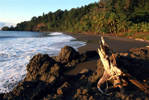 Parque Nacional Corcovado