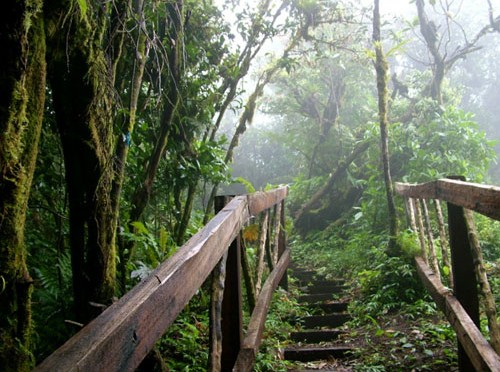 Reserva Natural Volcán Mombacho