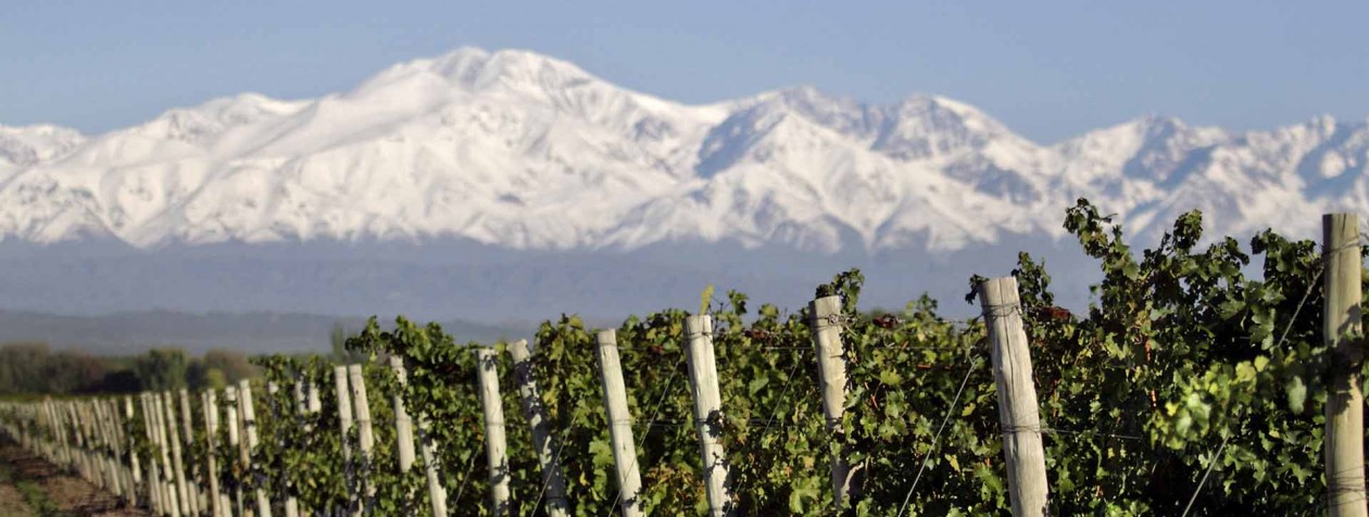 Bellezas Latinoamericanas | Mendoza