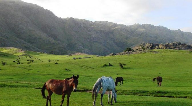 20 lugares que debes conocer en Córdoba