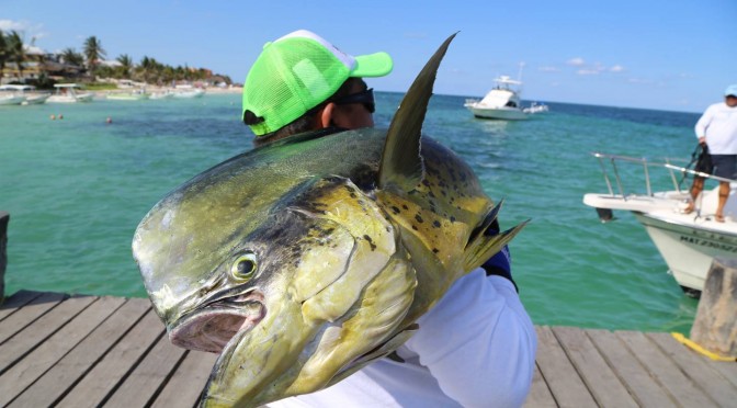 Torneo de Pesca Deportiva «Don Andrés García Lavín»