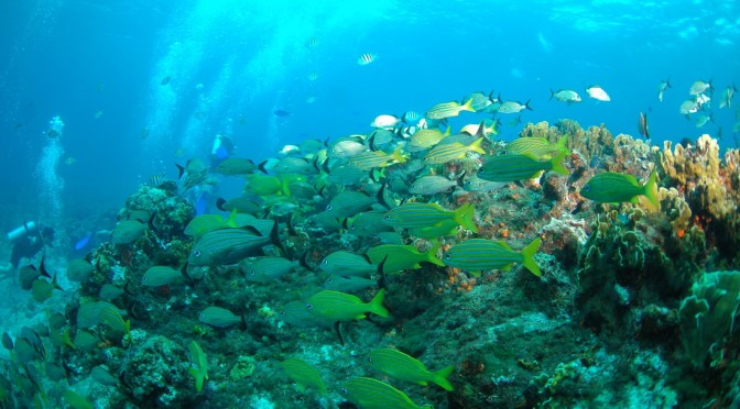 Parque Nacional Arrecife