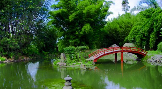 Jardín Botánico Lankester