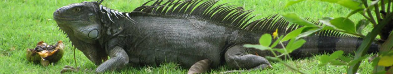 Bellezas Latinoamericanas | Golfo de Urabá