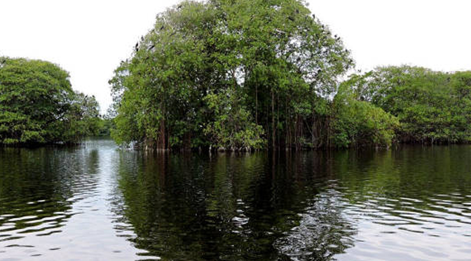 URABÁ UN TESORO NATURAL