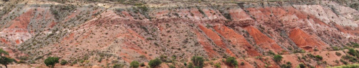 Bellezas Latinoamericanas | Salta