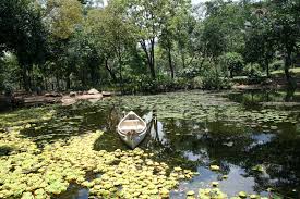 Jardín Botánico